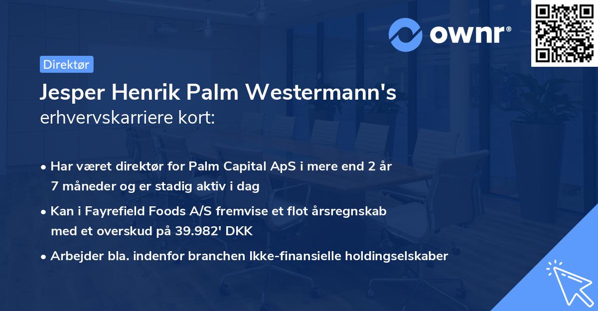 Jesper Henrik Palm Westermann's erhvervskarriere kort