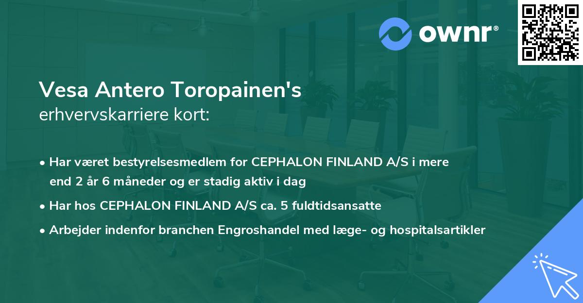 Vesa Antero Toropainen's erhvervskarriere kort