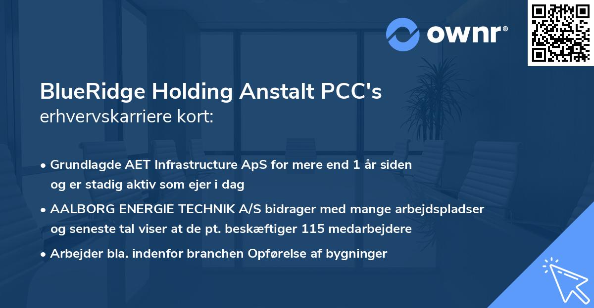 BlueRidge Holding Anstalt PCC's erhvervskarriere kort