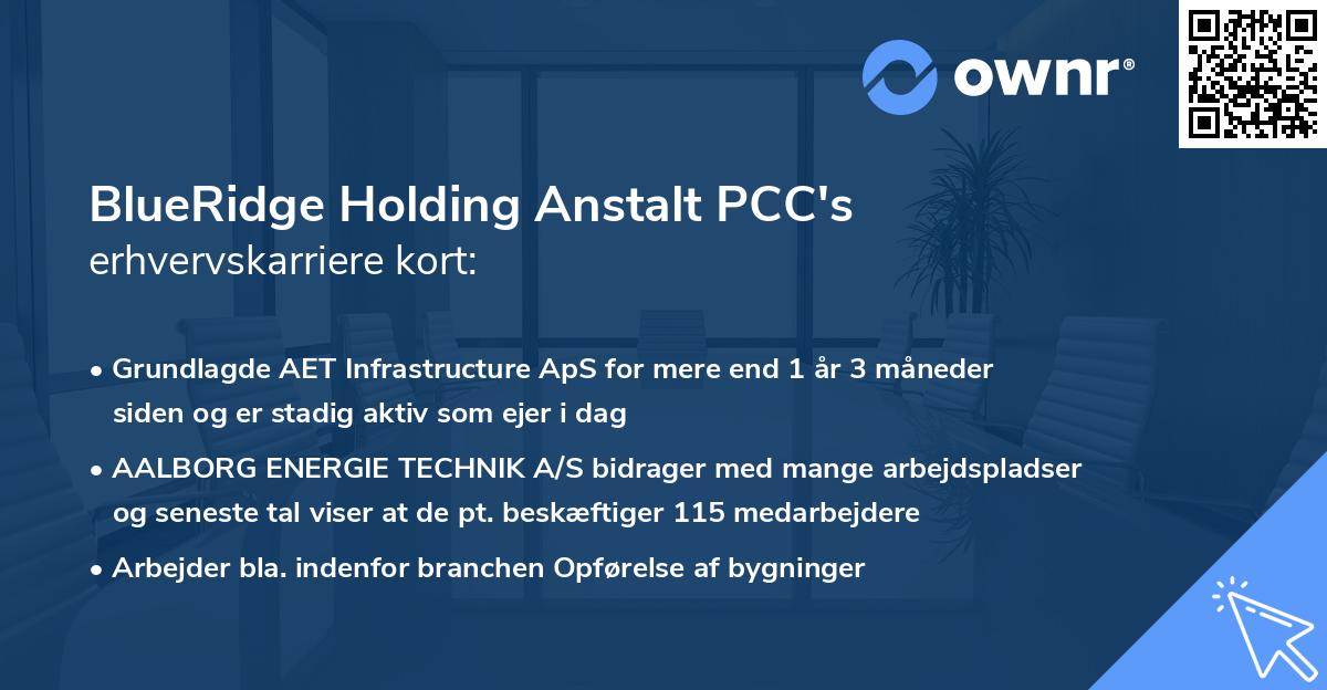 BlueRidge Holding Anstalt PCC's erhvervskarriere kort