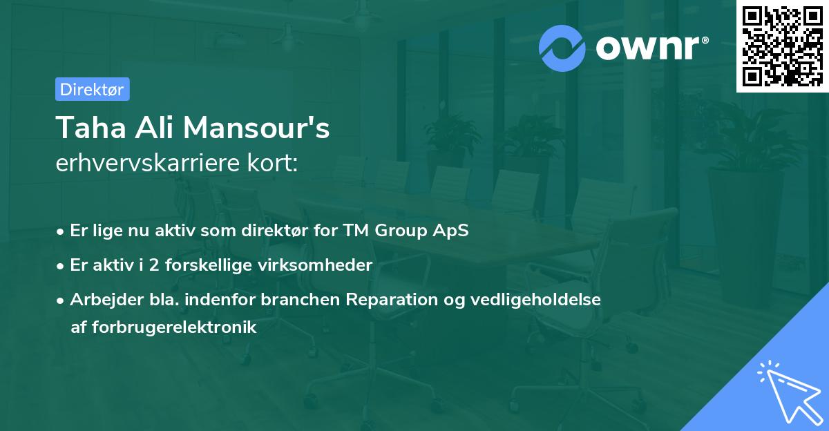 Taha Ali Mansour's erhvervskarriere kort