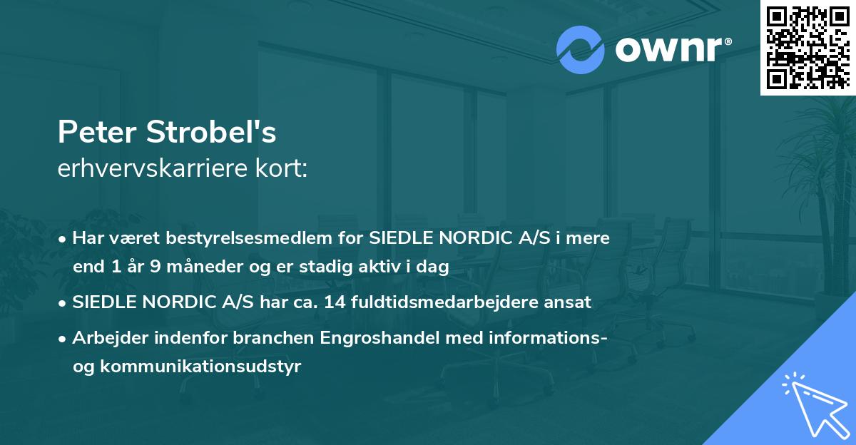 Peter Strobel's erhvervskarriere kort