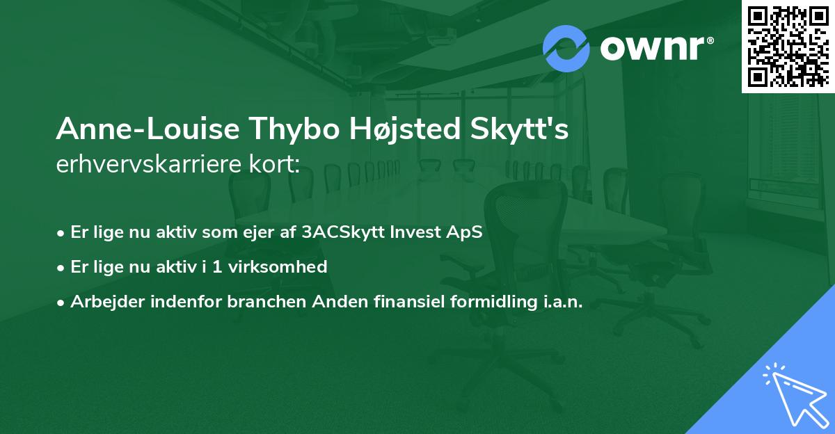 Anne-Louise Thybo Højsted Skytt's erhvervskarriere kort