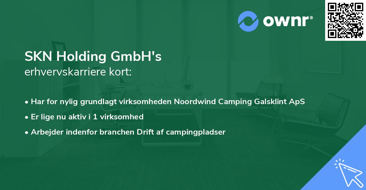 SKN Holding GmbH's erhvervskarriere kort