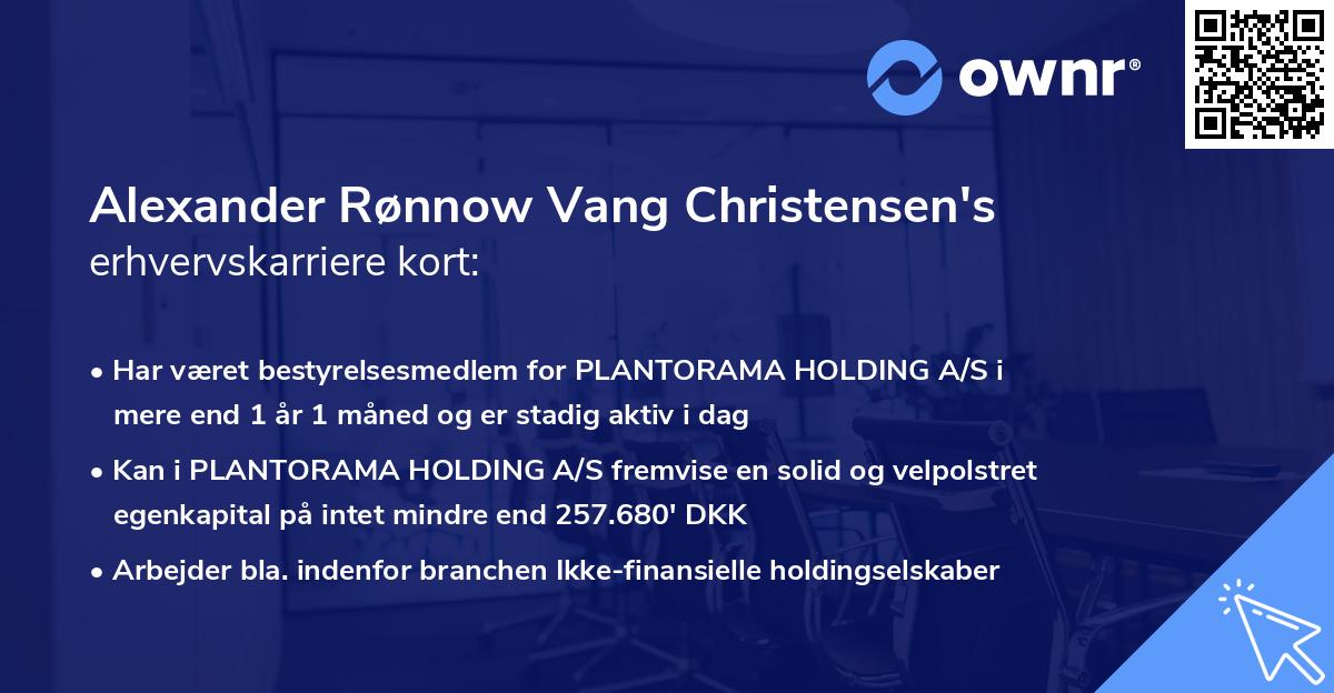 Alexander Rønnow Vang Christensen's erhvervskarriere kort