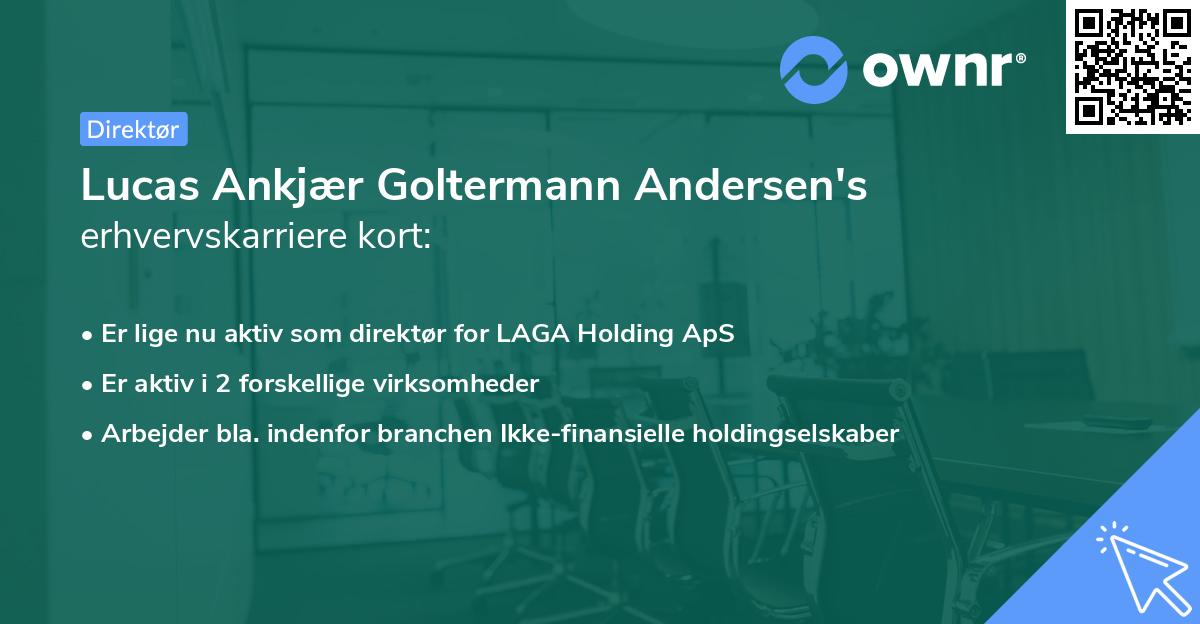 Lucas Ankjær Goltermann Andersen's erhvervskarriere kort