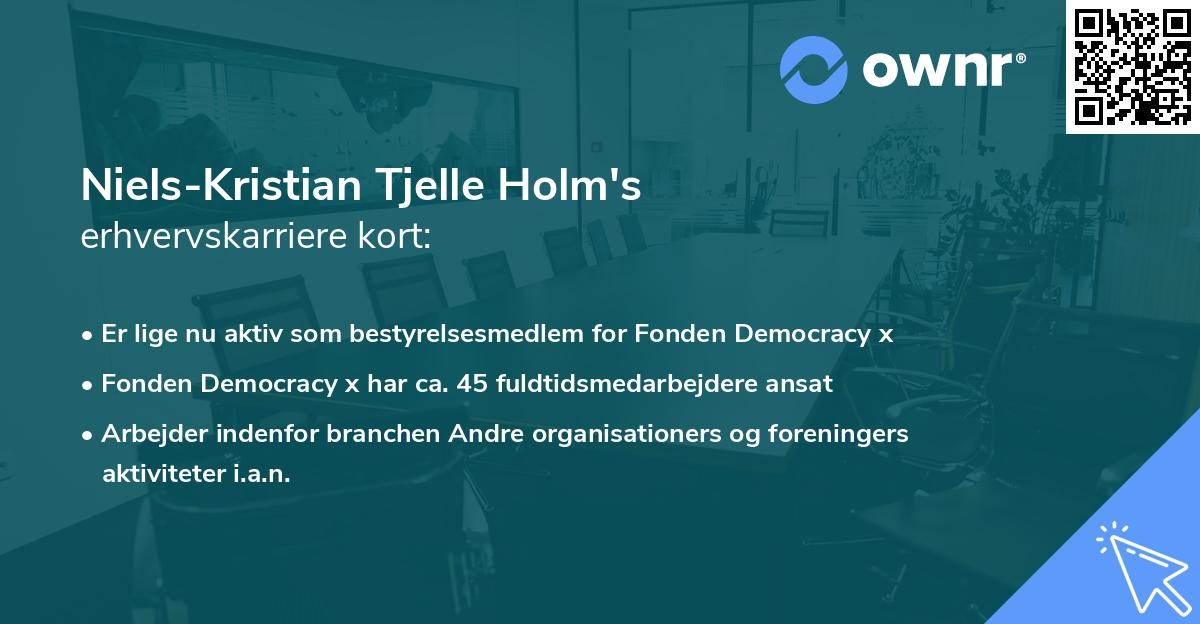 Niels-Kristian Tjelle Holm's erhvervskarriere kort