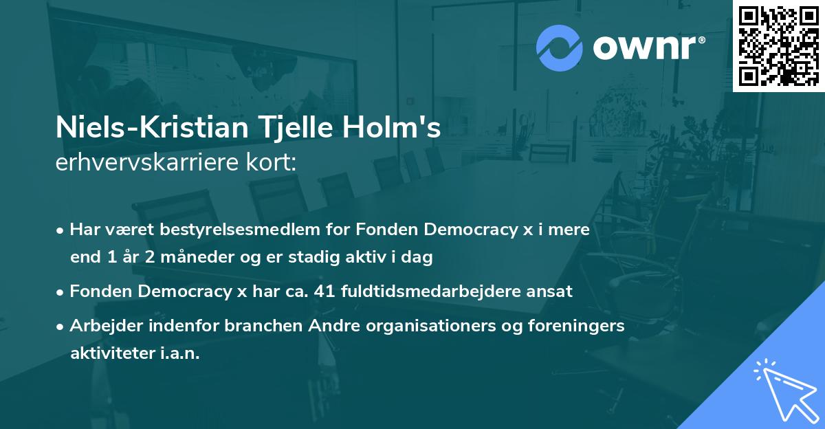 Niels-Kristian Tjelle Holm's erhvervskarriere kort