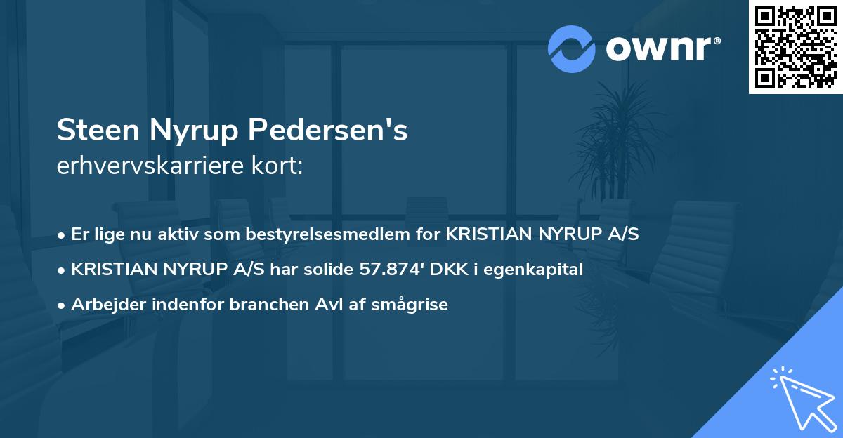 Steen Nyrup Pedersen's erhvervskarriere kort
