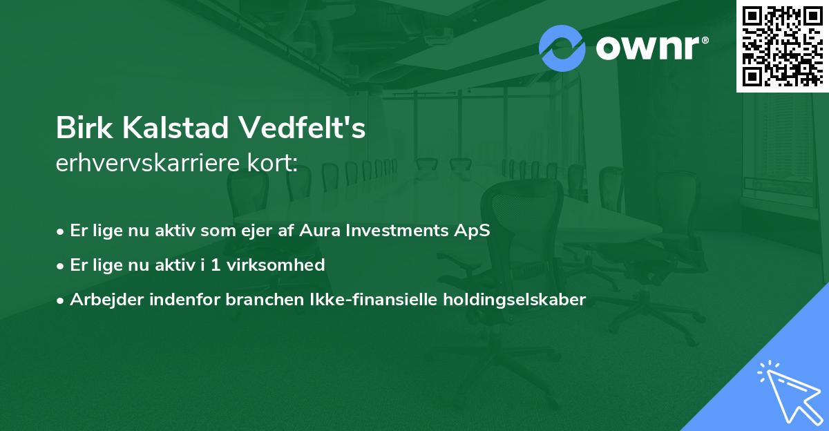 Birk Kalstad Vedfelt's erhvervskarriere kort