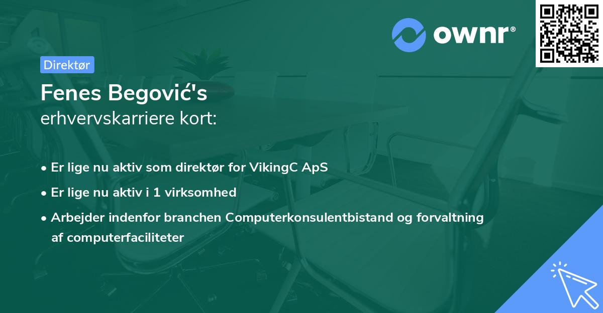 Fenes Begović's erhvervskarriere kort