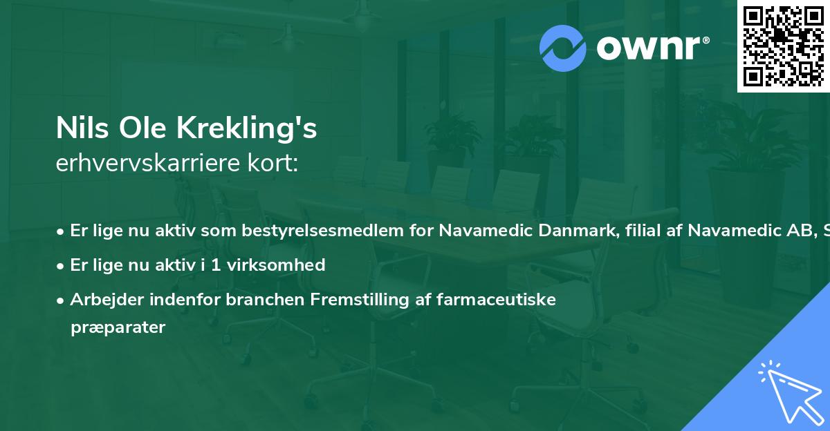 Nils Ole Krekling's erhvervskarriere kort