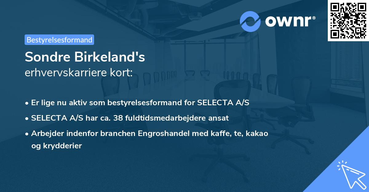 Sondre Birkeland's erhvervskarriere kort