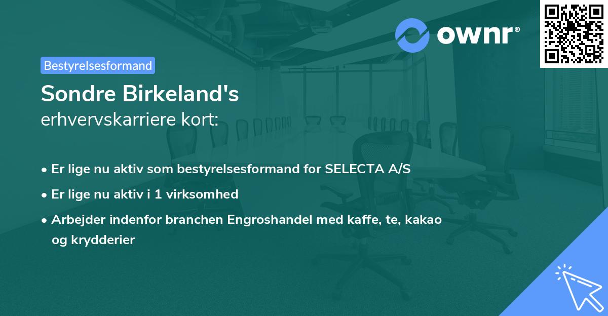 Sondre Birkeland's erhvervskarriere kort