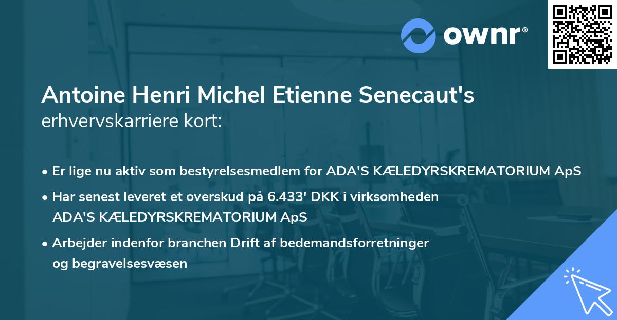 Antoine Henri Michel Etienne Senecaut's erhvervskarriere kort