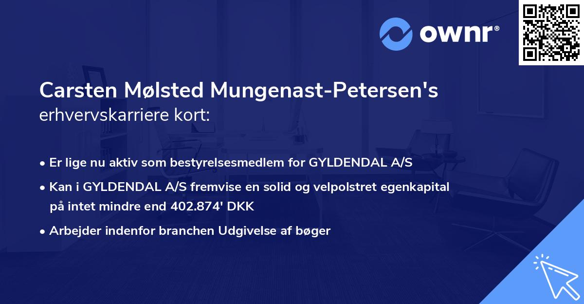 Carsten Mølsted Mungenast-Petersen's erhvervskarriere kort