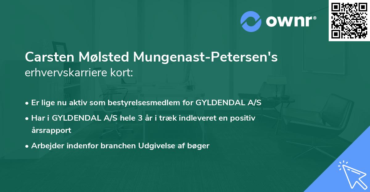 Carsten Mølsted Mungenast-Petersen's erhvervskarriere kort