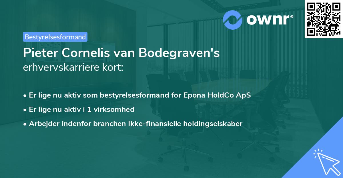 Pieter Cornelis van Bodegraven's erhvervskarriere kort