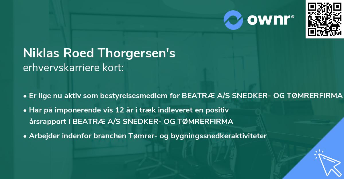 Niklas Roed Thorgersen's erhvervskarriere kort