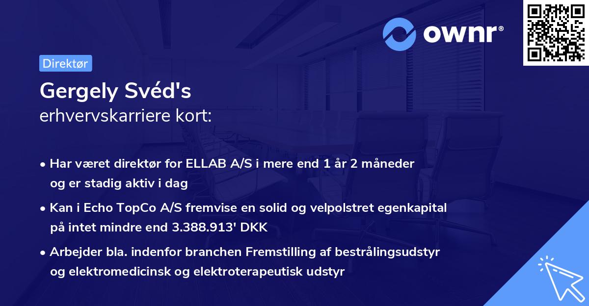 Gergely Svéd's erhvervskarriere kort