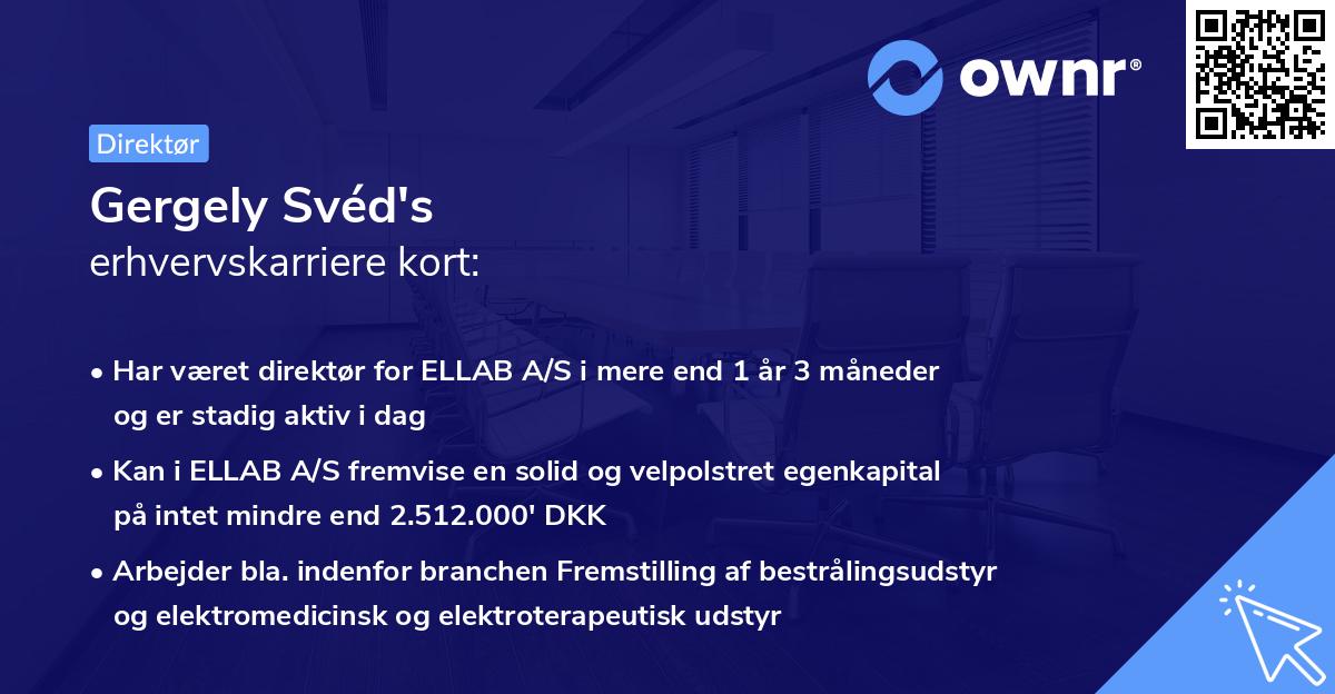 Gergely Svéd's erhvervskarriere kort