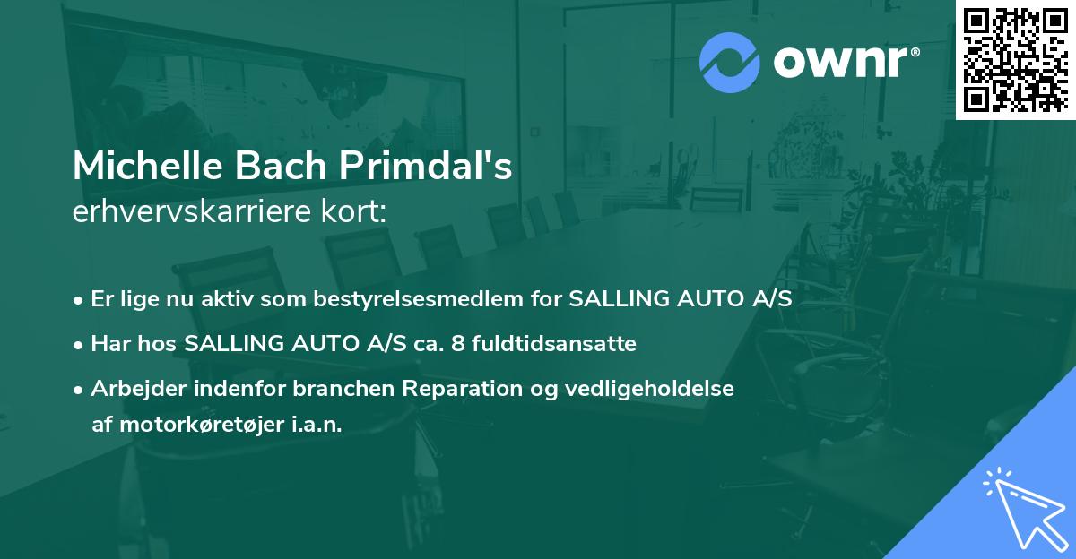 Michelle Bach Primdal's erhvervskarriere kort