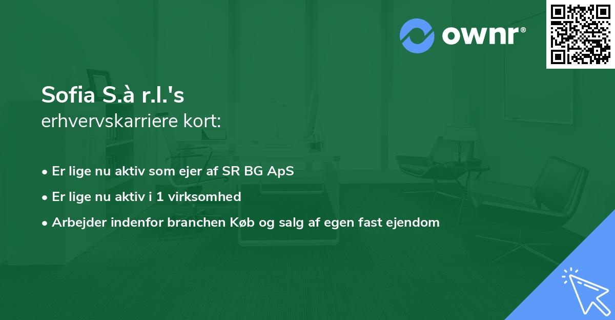 Sofia S.à r.l.'s erhvervskarriere kort