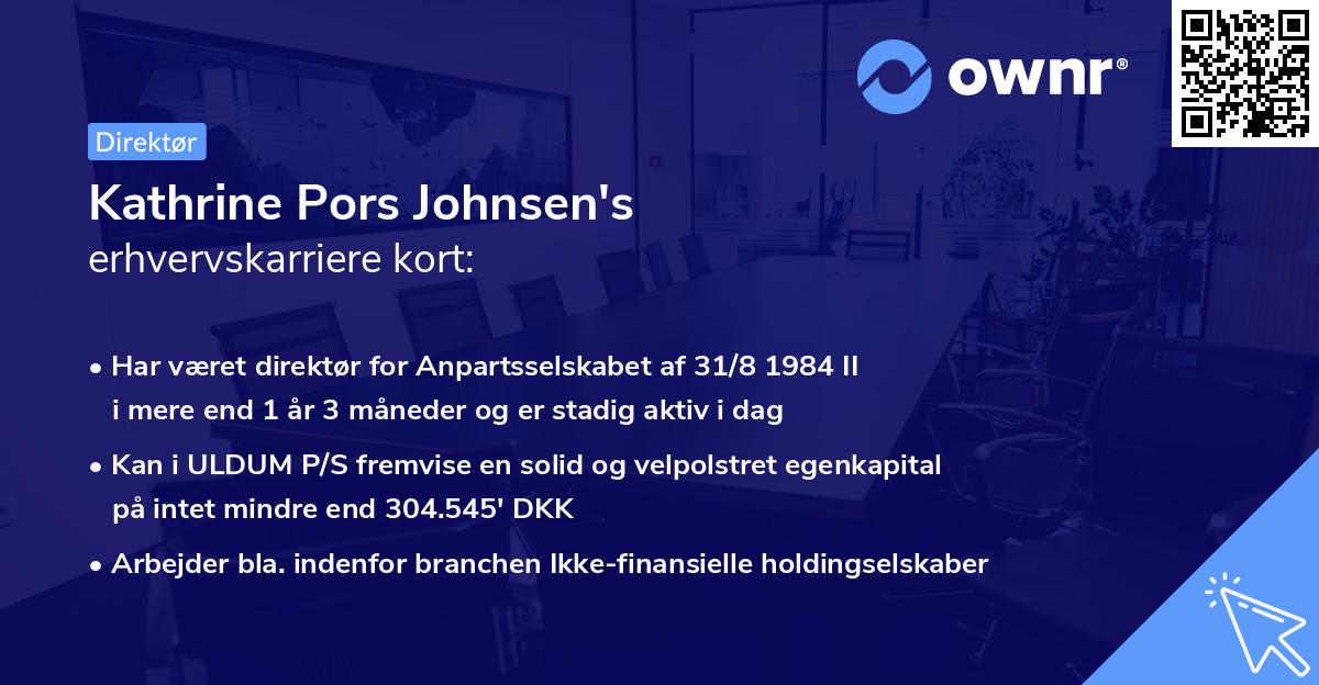 Kathrine Pors Johnsen's erhvervskarriere kort