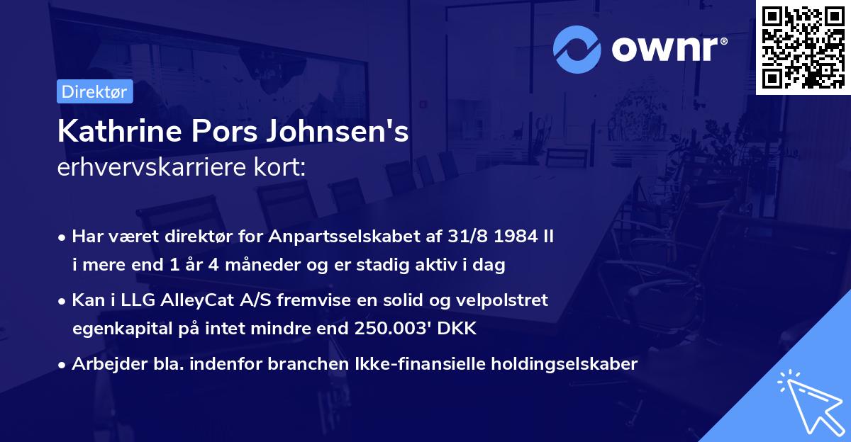 Kathrine Pors Johnsen's erhvervskarriere kort