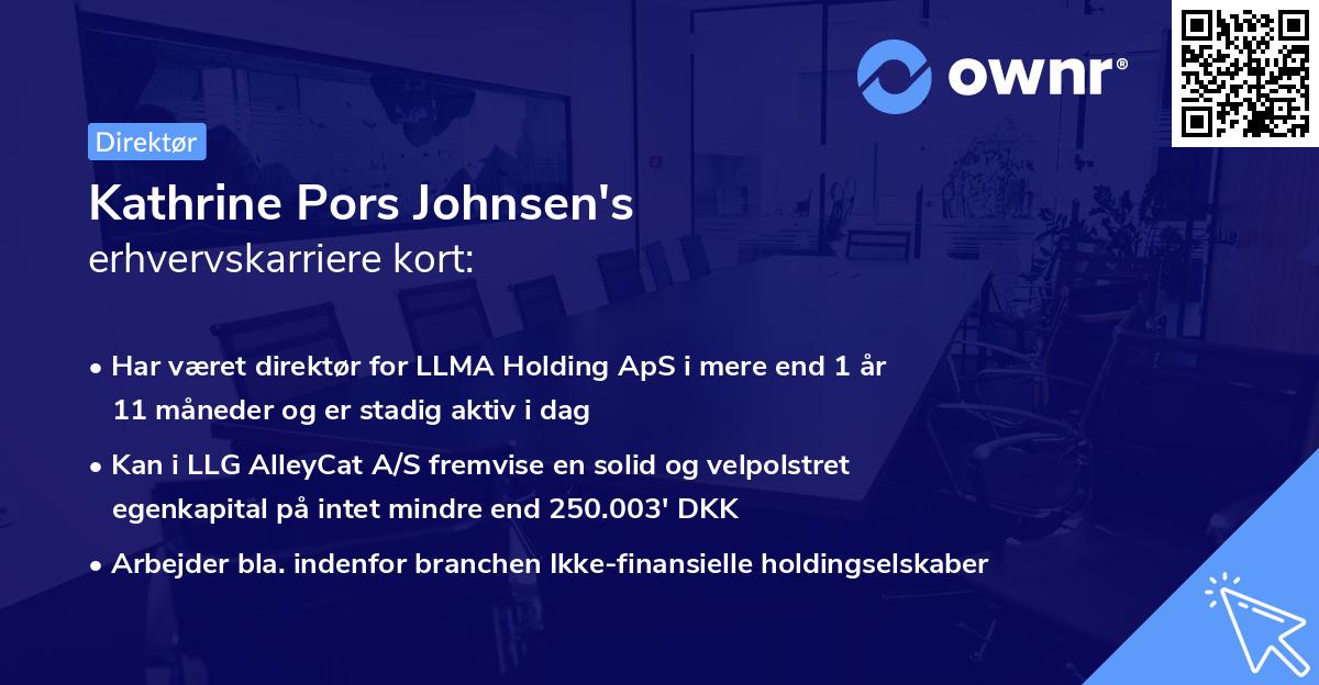 Kathrine Pors Johnsen's erhvervskarriere kort