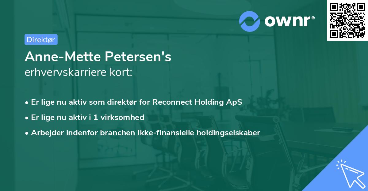 Anne-Mette Petersen's erhvervskarriere kort