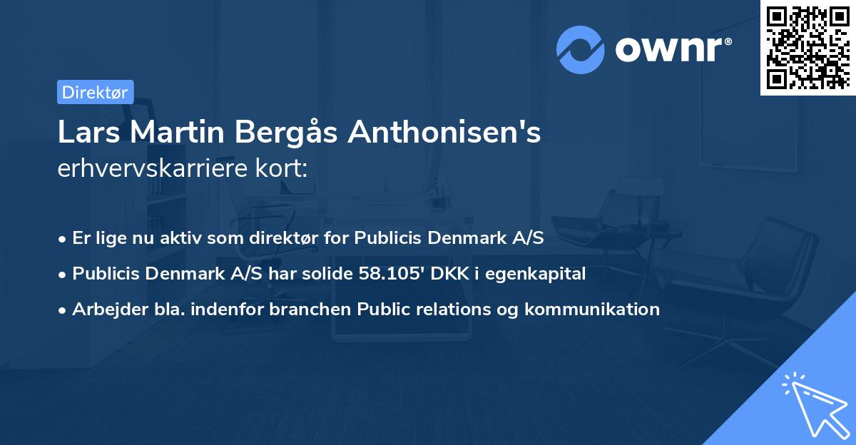 Lars Martin Bergås Anthonisen's erhvervskarriere kort