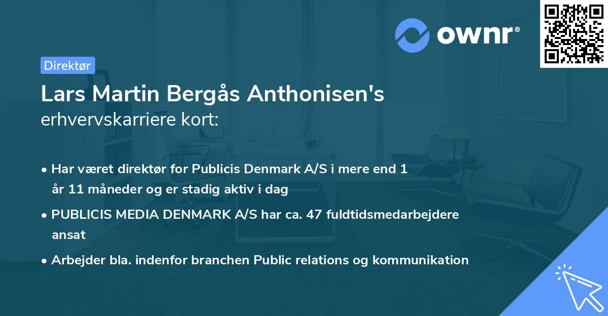 Lars Martin Bergås Anthonisen's erhvervskarriere kort