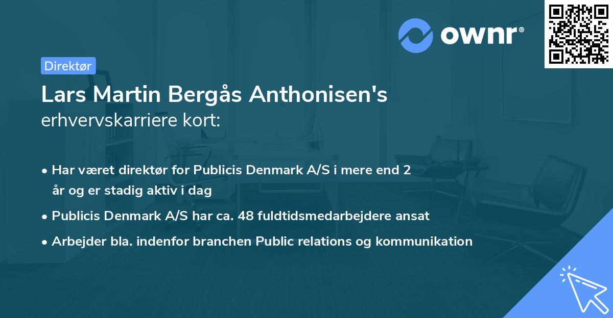 Lars Martin Bergås Anthonisen's erhvervskarriere kort