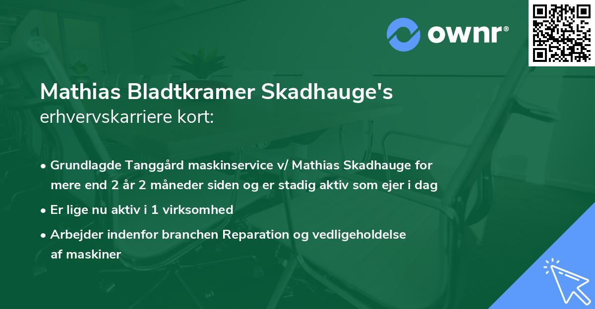 Mathias Bladtkramer Skadhauge's erhvervskarriere kort