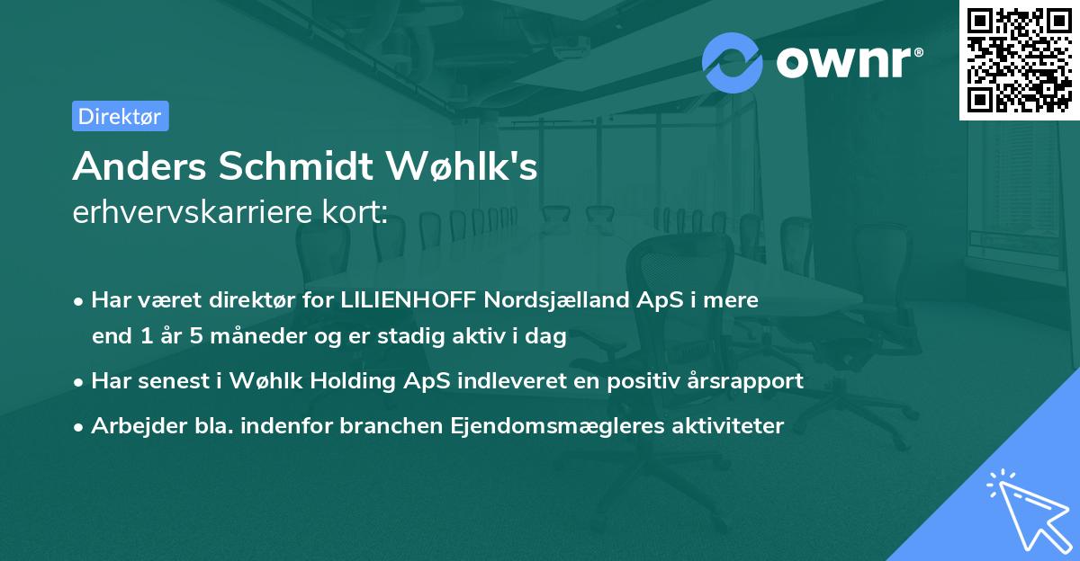 Anders Schmidt Wøhlk's erhvervskarriere kort