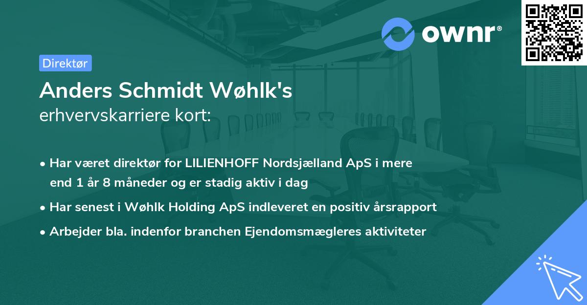 Anders Schmidt Wøhlk's erhvervskarriere kort
