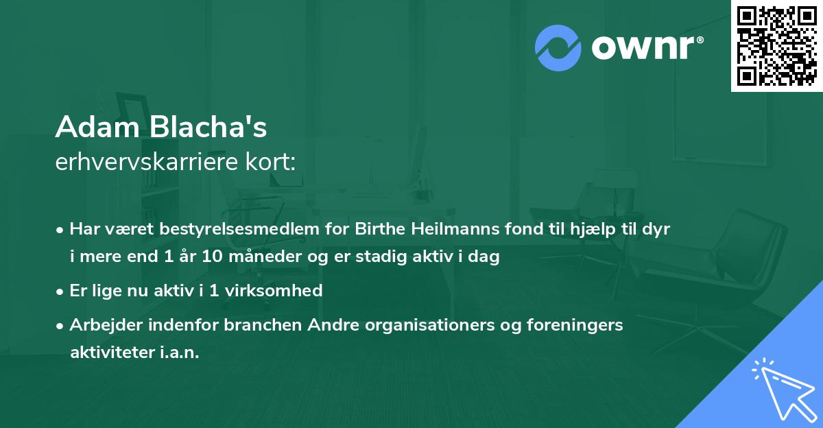 Adam Blacha's erhvervskarriere kort