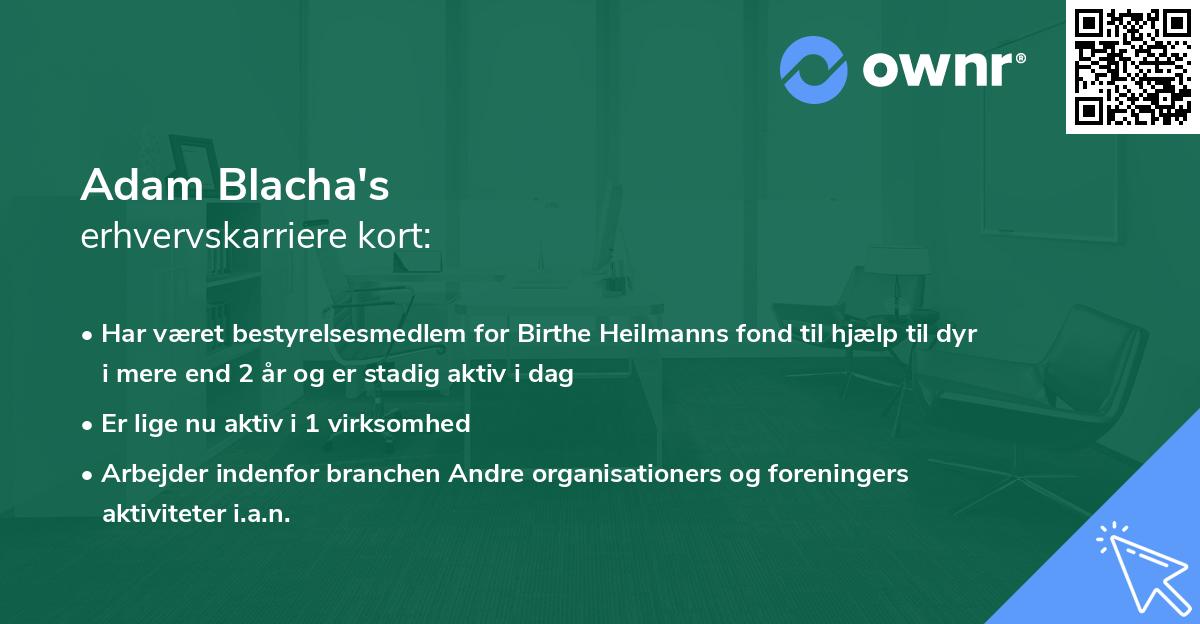 Adam Blacha's erhvervskarriere kort