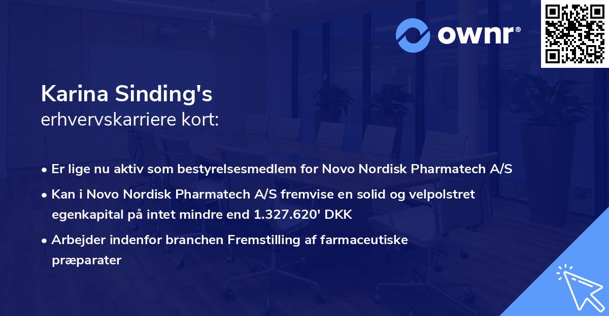 Karina Sinding's erhvervskarriere kort