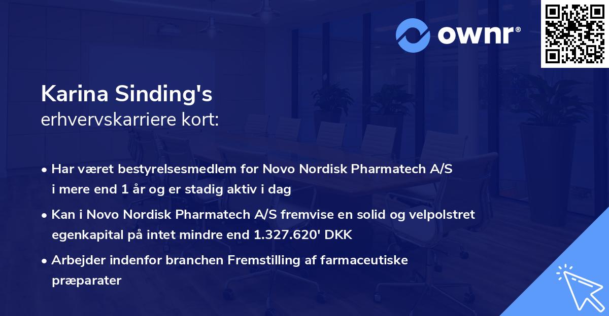 Karina Sinding's erhvervskarriere kort