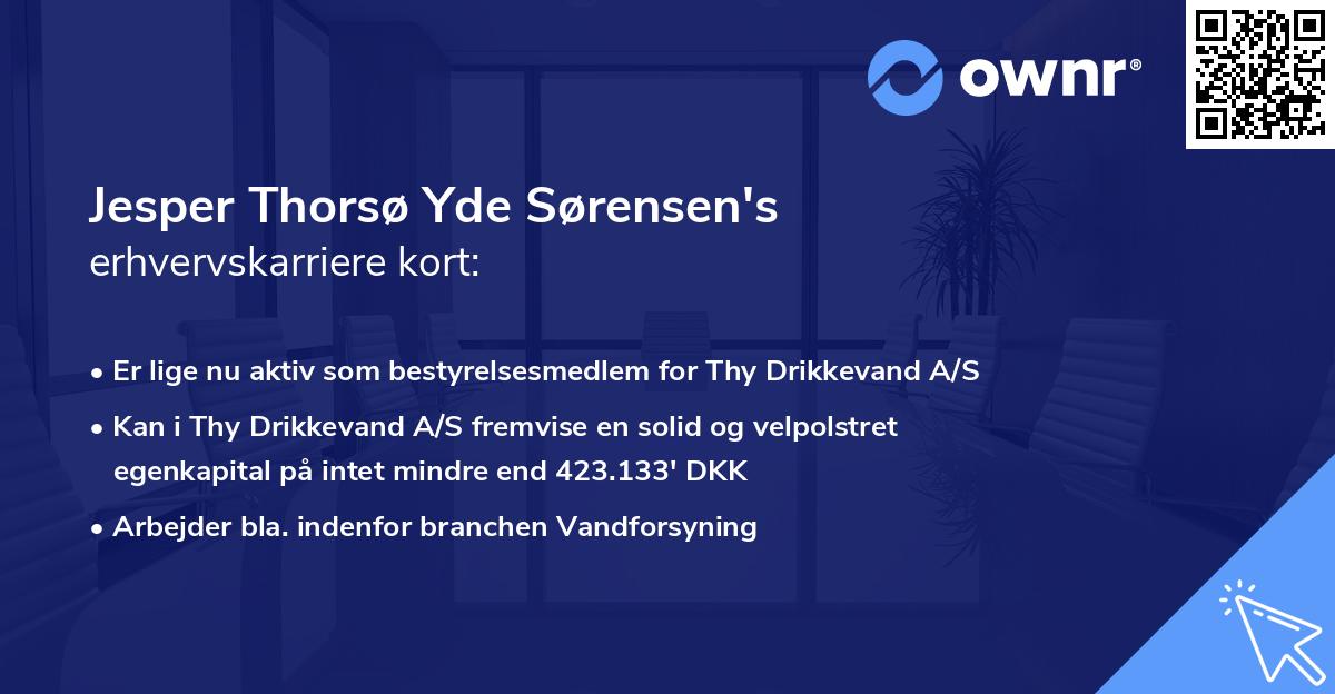 Jesper Thorsø Yde Sørensen's erhvervskarriere kort