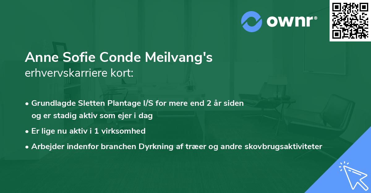 Anne Sofie Conde Meilvang's erhvervskarriere kort
