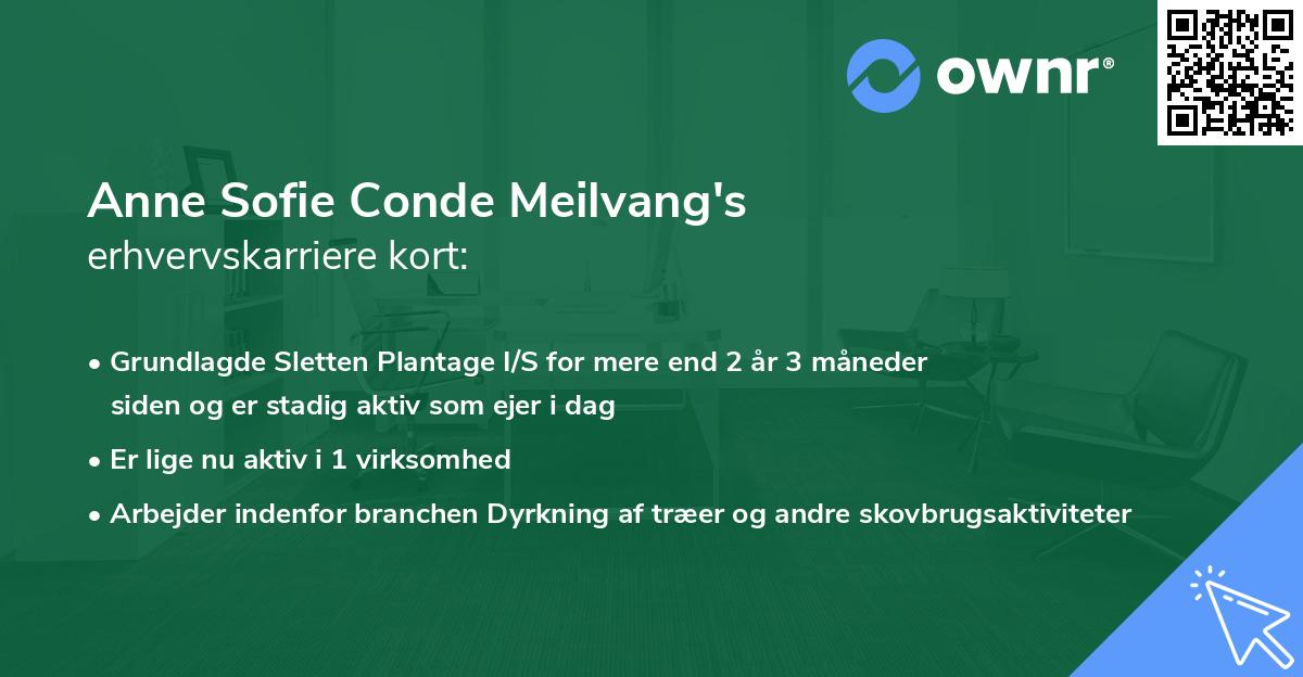 Anne Sofie Conde Meilvang's erhvervskarriere kort