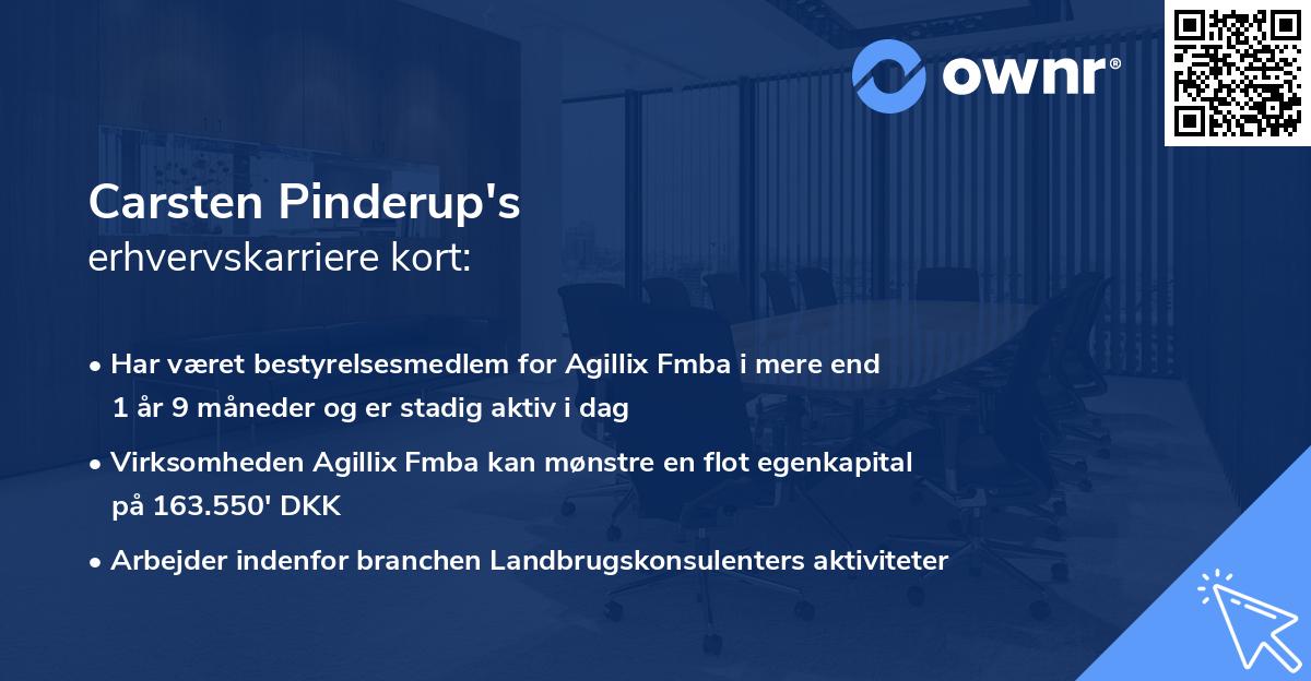 Carsten Pinderup's erhvervskarriere kort