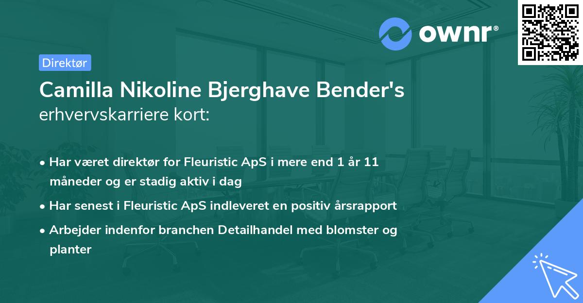 Camilla Nikoline Bjerghave Bender's erhvervskarriere kort