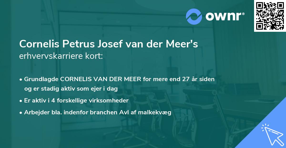 Cornelis Petrus Josef van der Meer's erhvervskarriere kort
