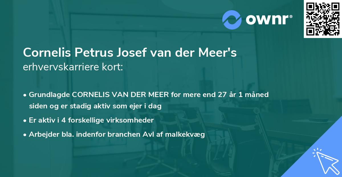 Cornelis Petrus Josef van der Meer's erhvervskarriere kort