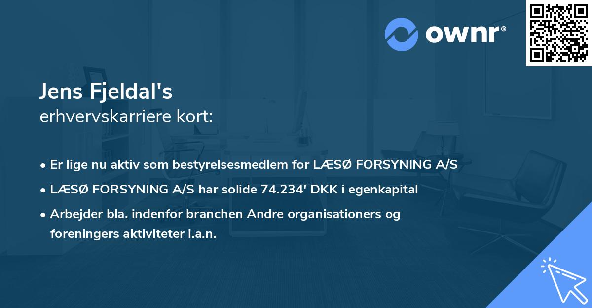 Jens Fjeldal's erhvervskarriere kort