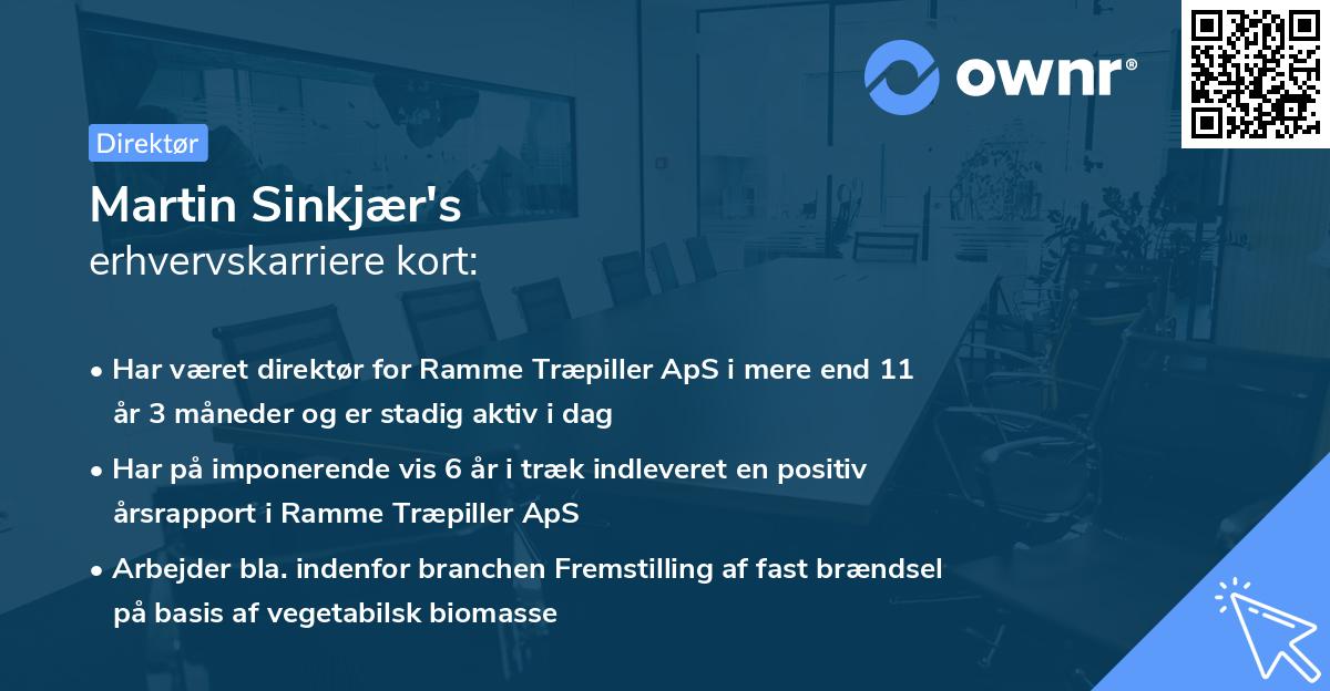 Martin Sinkjær's erhvervskarriere kort